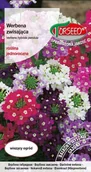 Nasiona i cebule - Nasiona Werbena zwisająca mieszanka 0,1g - Torseed - miniaturka - grafika 1