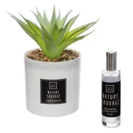 Zapachy do domu - Sztuczna Roślina Z Olejkiem Zapachowym - miniaturka - grafika 1