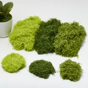 Rękodzieło - TEMU 100g Sztuczna Trawa - Zielona Dekoracja Trawy do Terrariów, Kamieni i Mini Krajobrazów, Idealna do Rękodzieła i Projektowania , Materiał do - miniaturka - grafika 1