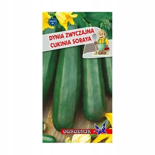 Dynia zwyczajna cukinia Soraya 2g / O/ - Nasiona i cebule - miniaturka - grafika 1