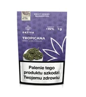 Suplementy naturalne - Sativa Poland, Susz Konopny CBD, Kwiaty Konopi ”TROPICANA”, 1 g - miniaturka - grafika 1