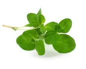 Pasze dla zwierząt - Majeranek EQUIHERBS 1000g - miniaturka - grafika 1