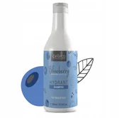 Szampony do włosów - Szampon BELLECO Hydrant Blueberry 300ml po nanoplastii dla blondynek - miniaturka - grafika 1