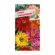 Nasiona i cebule - Cynia chryzantemowa mix 1g / O / - miniaturka - grafika 1