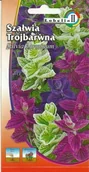 Nasiona i cebule - Szałwia trójbarwna mix 0,3g / L / - miniaturka - grafika 1