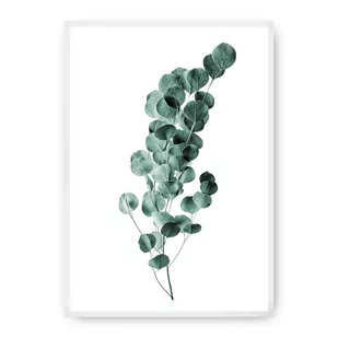 Dekoria Dekoria Plakat Eucalyptus Emerald Green 21 x 30 cm Ramka Biała 218D-000-02 - Plakaty - miniaturka - grafika 1