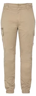 Schott NYC Spodnie męskie, Praca beżowa, 40 - Spodnie męskie - miniaturka - grafika 1