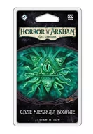 Gry planszowe - Galakta Horror w Arkham LCG: Gdzie mieszkają Bogowie - miniaturka - grafika 1