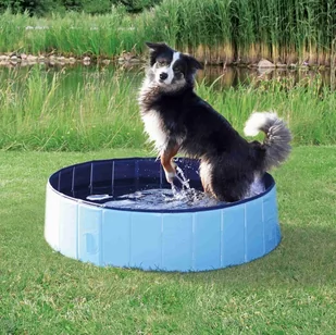 Trixie Dog Pool Keep Cool basen dla psa x wys. 80 x 20 cm bez pokrywy) - Zabawki dla psów - miniaturka - grafika 1