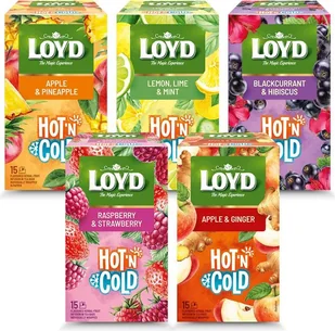 Zestaw Herbat Hot N Cold Loyd Mix Smaków Na Ciepło Na Zimno 5szt x30g - Herbata - miniaturka - grafika 1