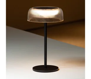Zuma Line DT33111-LED Ściemn. sol. ład. lampa BLUET LED/2,5W/2000 mAh IP44 czarny - Lampy ogrodowe - miniaturka - grafika 1