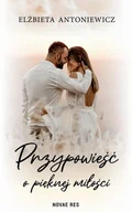 Literatura obyczajowa - Przypowieść o pięknej miłości - miniaturka - grafika 1