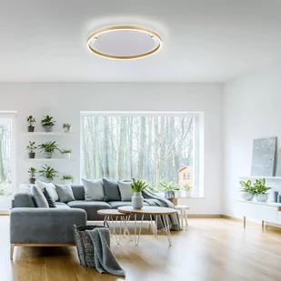 Paul Neuhaus Mosiężna lampa sufitowa 58 8 cm z 3-stopniową regulacją LED - Zlatan - Lampy sufitowe - miniaturka - grafika 4