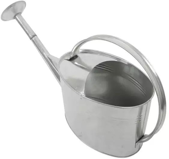 Home it® vandkande med spreder 5 liter galvaniseret