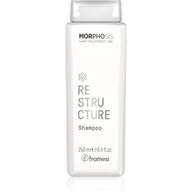 Szampony do włosów - Framesi Morphosis Re-Structure Shampoo Szampon Oczyszczający, Regeneruje i Nawilża Włosy 250ml - miniaturka - grafika 1