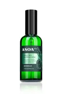 Toniki i hydrolaty do twarzy - Asoa Hydrolat z drzewa herbacianego 5906660449225 - miniaturka - grafika 1