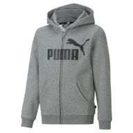 Odzież sportowa dziecięca - Młodzieżowa bluza z kapturem z dużym logo Essentials PUMA Medium Gray Heather - miniaturka - grafika 1