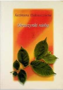 Okruszynki nieba - Poezja - miniaturka - grafika 1