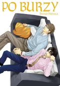 Komiksy dla młodzieży - Po Burzy - miniaturka - grafika 1