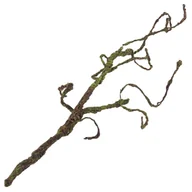 Sztuczne kwiaty - Gałąź Gałązka Ozdobna Dekoracyjna Piankowa Korzeń - miniaturka - grafika 1