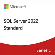 Programy biurowe - SQL Server 2022 Standard Edition - miniaturka - grafika 1