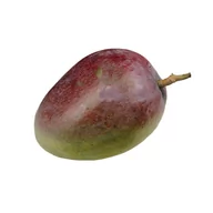 Owoce świeże i suszone - Mango - Owoce - miniaturka - grafika 1