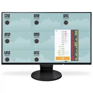 Eizo EV2451-BK - Monitory - miniaturka - grafika 1