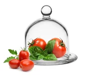 Pojemniki kuchenne - Duży Pojemnik Na Cytrynę, Owoce, Warzywa z Przykryciem - miniaturka - grafika 1