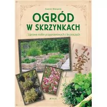 Jedność Ogród w skrzynkach Uprawa roślin przyprawowych i leczniczych Laurent Bourgeois