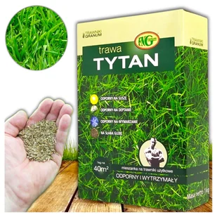 TRAWA TYTAN OGRODOWA DO BARDZO TRUDNYCH SUCHYCH GLEB ODPORNA NASIONA 1kg - Nasiona i cebule - miniaturka - grafika 1
