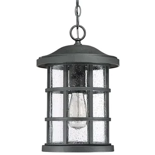 Quoizel Wisząca LAMPA industrialna QZ-CRUSADE8-BLK Elstead okrągła OPRAWA szklany ZWIS na łańcuchu IP44 czarny QZ-CRUSADE8-BLK - Lampy ogrodowe - miniaturka - grafika 2