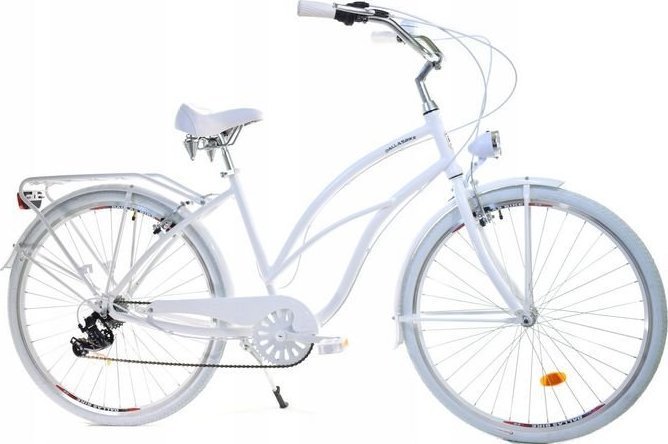 Dallas Bike Rower Dallas Cruiser 28