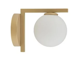 Sigma 33342 Nowoczesny kinkiet ANDY złoty OP.OŚW. 1PŁ 33342 - Lampy ścienne - miniaturka - grafika 1