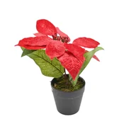 Sztuczne kwiaty - Gwiazda betlejemska w doniczce 21 cm czerwony - miniaturka - grafika 1
