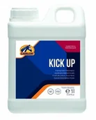 Akcesoria jeździeckie - CAVALOR Witaminy i minerały KICK UP 1L - miniaturka - grafika 1