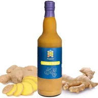 Syropy i koncentraty owocowe - Syrop z Imbiru 500ml Polski Produkt RAGLAN - miniaturka - grafika 1