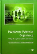 Biznes - Pozytywny Potencjał Organizacji - miniaturka - grafika 1