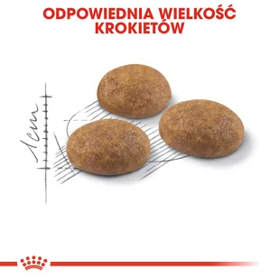 ROYAL CANIN  Outdoor 30 4kg karma sucha dla kotów dorosłych, wychodzących na zewnątrz + niespodzianka dla kota GRATIS - Sucha karma dla kotów - miniaturka - grafika 6