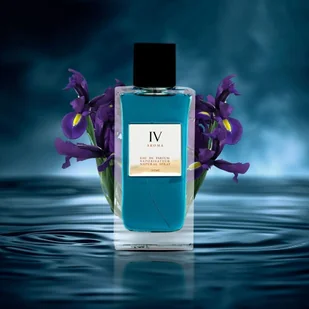 Aurora Aurora, Aroma IV, Eau De Parfum, For Men, 100 ml For Men - Wody i perfumy męskie - miniaturka - grafika 1
