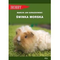 Gorazdowski Marcin Jan Świnka morska - Dom i ogród - miniaturka - grafika 1