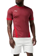 Koszulki męskie - PUMA PUMA Koszulka męska Teamgoal 23 Jersey czerwony Cordovan-chili Pepper L 704171 - miniaturka - grafika 1