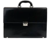 Teczki i aktówki - Teczka Daphne - Stefania Czarny - miniaturka - grafika 1