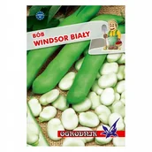 Nasiona i cebule - Bób Windsor Biały 50g / O / - miniaturka - grafika 1