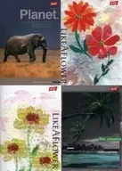 Zeszyty szkolne - Zeszyt A5 w linie 80 kartek 10 sztuk mix - St. Majewski - miniaturka - grafika 1