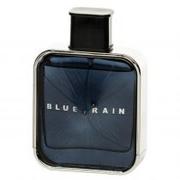 Wody i perfumy męskie - Georges Mezotti Blue Rain woda toaletowa 100ml - miniaturka - grafika 1
