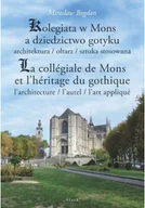Archeologia - Kolegiata w Mons a dziedzictwo gotyku - miniaturka - grafika 1
