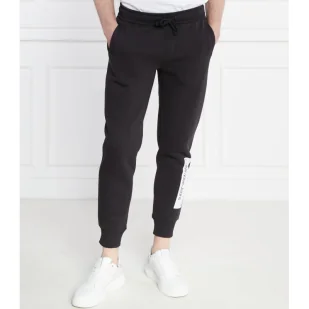 CALVIN KLEIN JEANS Spodnie dresowe | Regular Fit - Dresy męskie - miniaturka - grafika 1