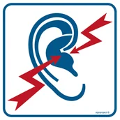 Systemy ekspozycyjne i znaki informacyjne - RA109 STREFA WZMOŻONEGO HAŁASU, FN - FOLIA SAMOPRZYLEPNA; (200X200MM) - miniaturka - grafika 1