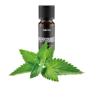 Akcesoria i części AGD - Olejek eteryczny Stadler Form Peppermint - miniaturka - grafika 1