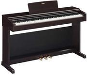 Instrumenty klawiszowe - Yamaha Arius YDP-145 R pianino cyfrowe - palisander - miniaturka - grafika 1